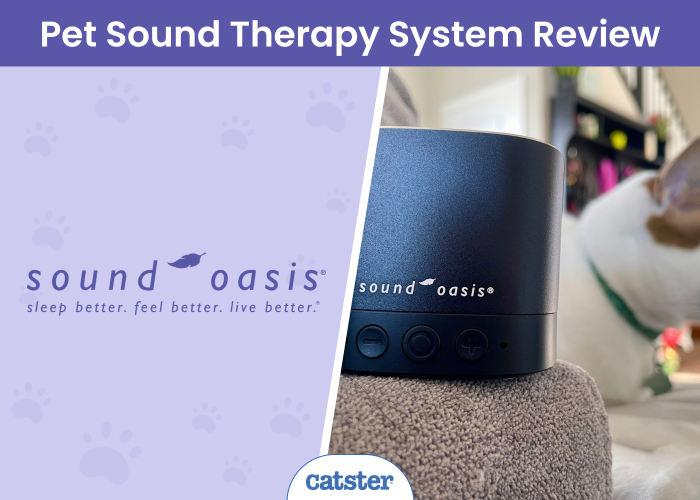 Sound Oasis Pet Sound Remedy System Overview 2025: Efficient Pet Calming Answer