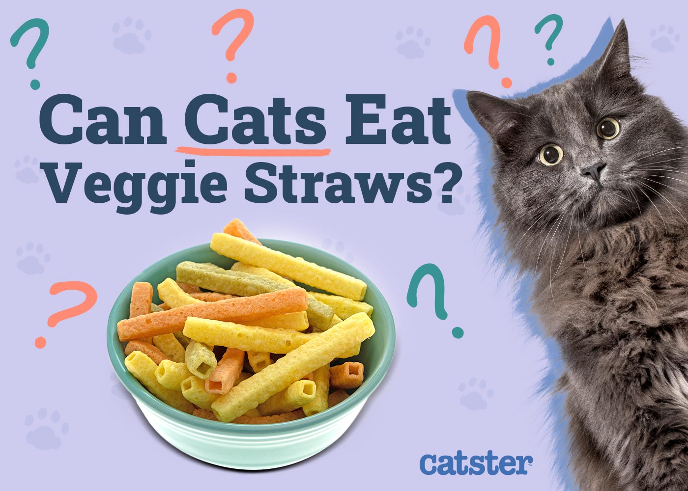 Can Cats Eat Veggie Straws? Vet-Verified Details & FAQ