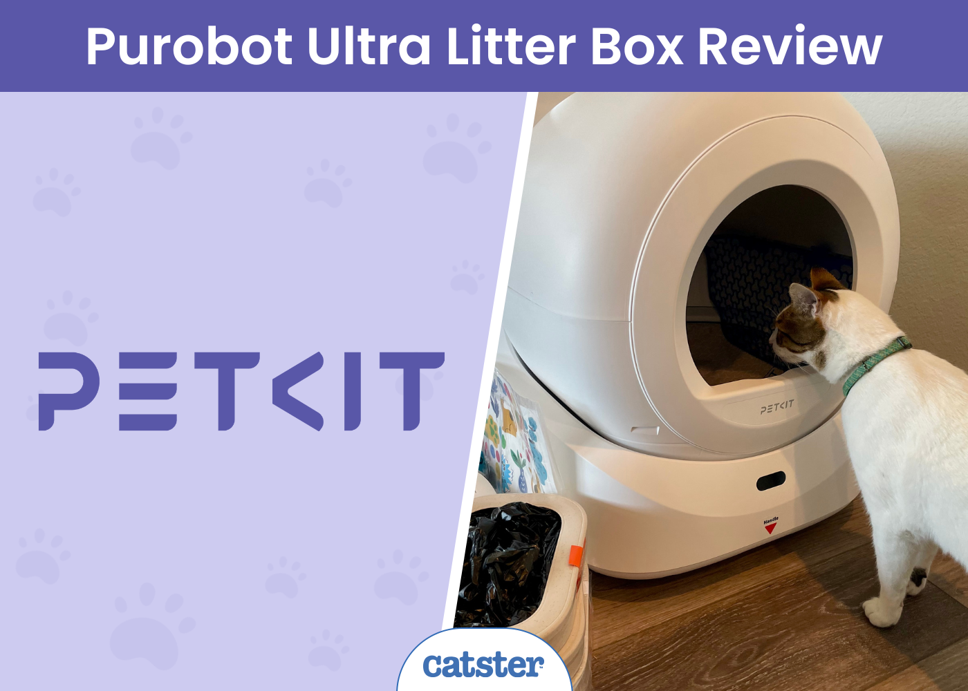 PETKIT Purobot Extremely Litter Field Overview 2025: Our Palms-On Check