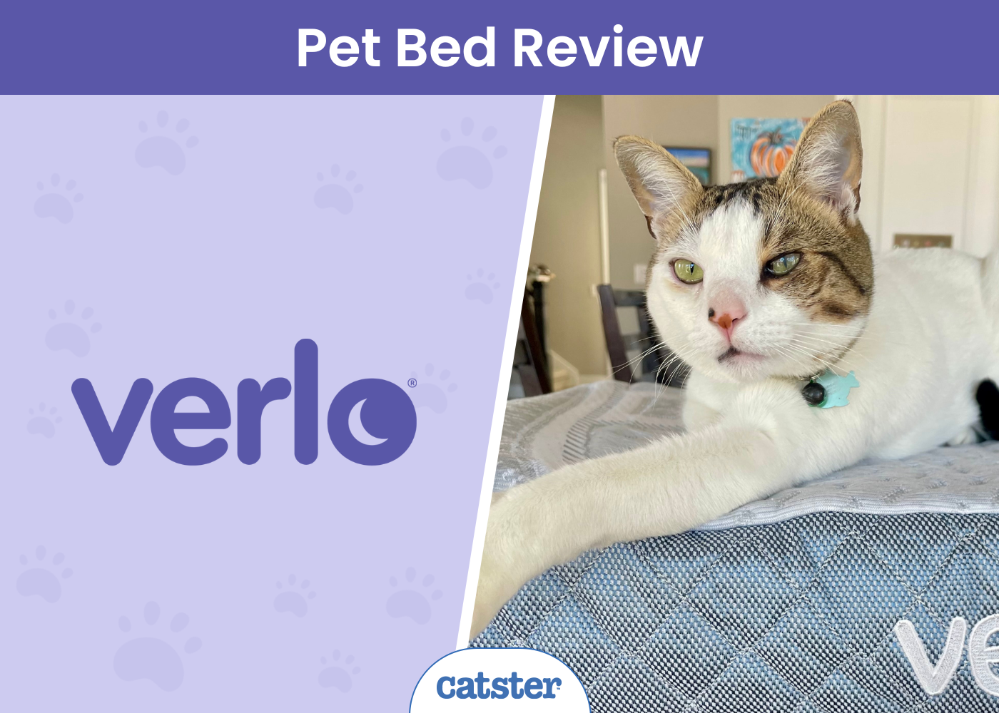 Verlo Pet Beds Assessment 2025: My Cat’s Paws-On Assessment