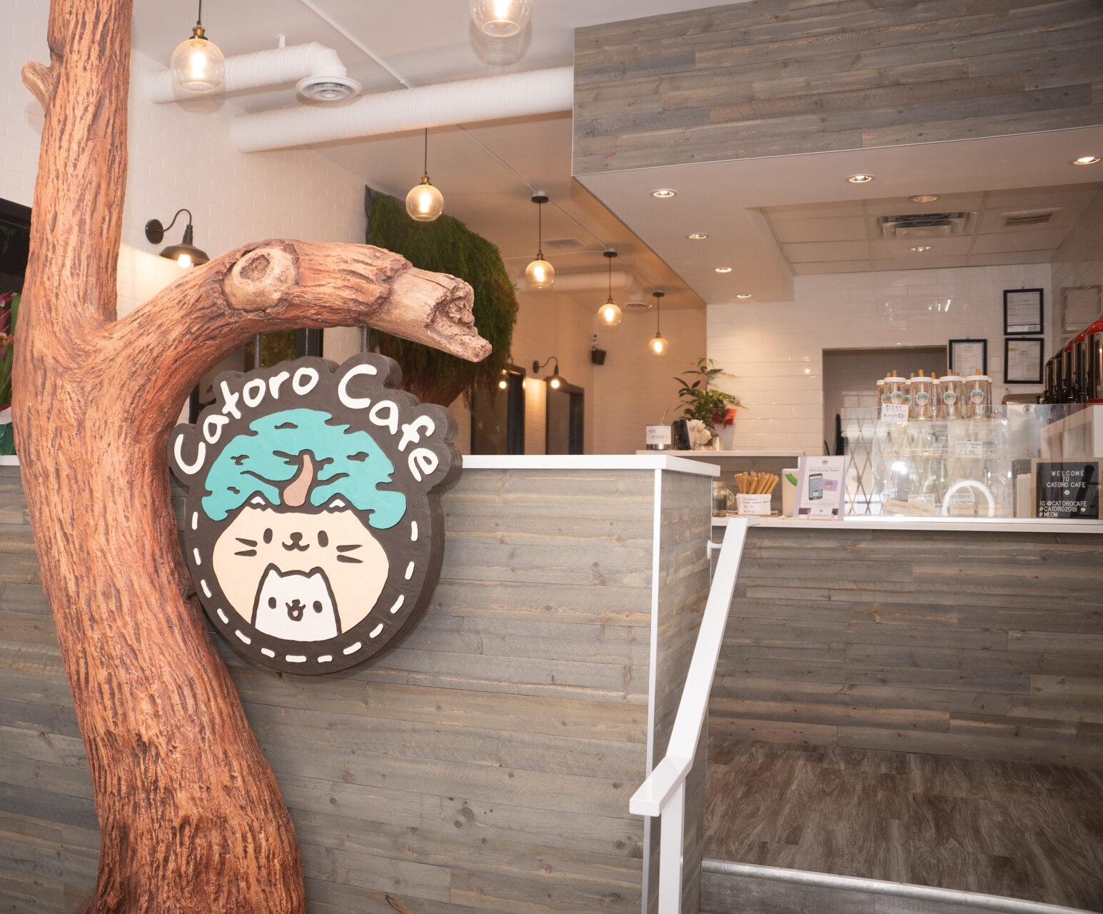 A Cat Lovers Café – Fashionable Cat